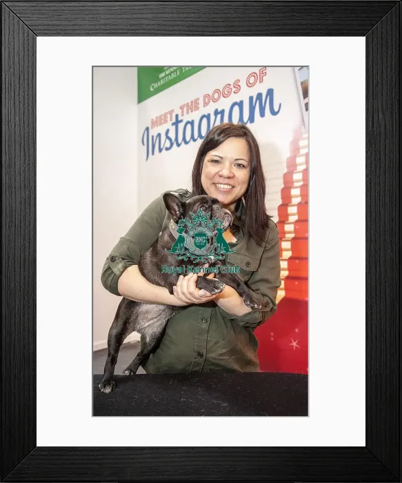 Framed Print : Crufts 2016 Framed Print : Crufts 2016