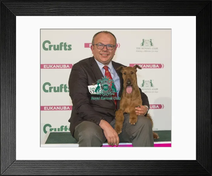 Framed Print : Crufts 2016 Best of Breed Framed Print : Crufts 2016 Best of Breed
