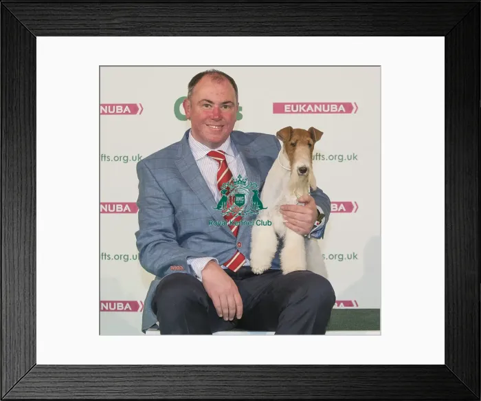 Framed Print : Crufts 2016 Best of Breed Framed Print : Crufts 2016 Best of Breed