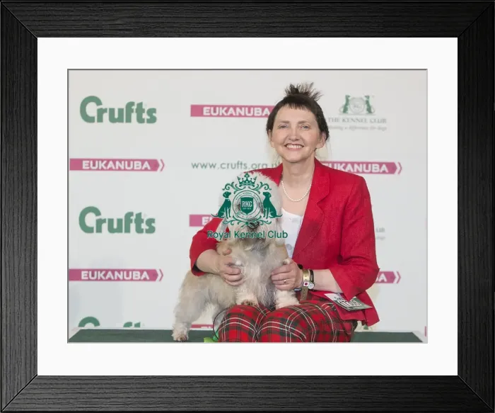 Framed Print : Crufts 2016 Best of Breed Framed Print : Crufts 2016 Best of Breed