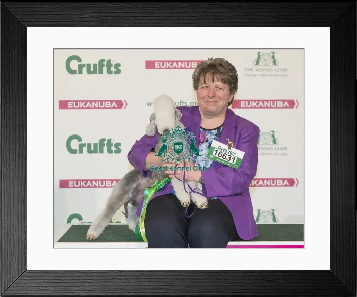 Framed Print : Crufts 2016 Best of Breed Framed Print : Crufts 2016 Best of Breed