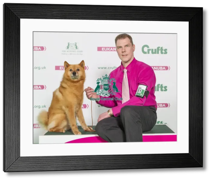 Framed Print : Crufts 2016 Best of Breed Framed Print : Crufts 2016 Best of Breed