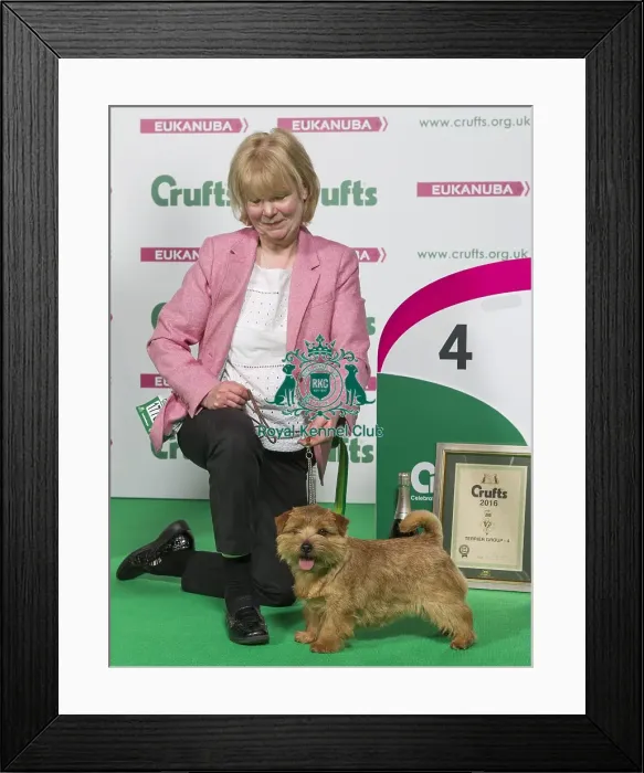 Framed Print : Crufts 2016 Best of Breed