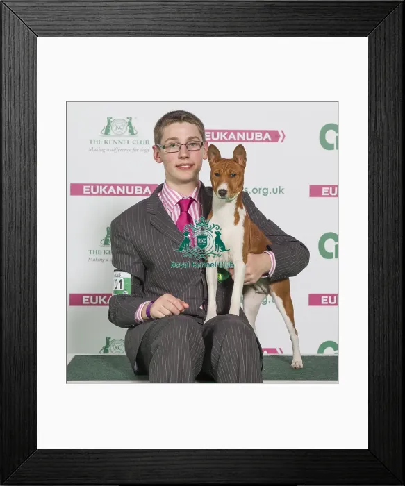 Framed Print : Crufts 2016 Best of Breed Framed Print : Crufts 2016 Best of Breed