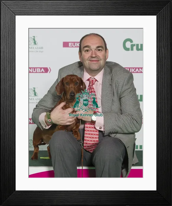 Framed Print : Crufts 2016 Best of Breed Framed Print : Crufts 2016 Best of Breed