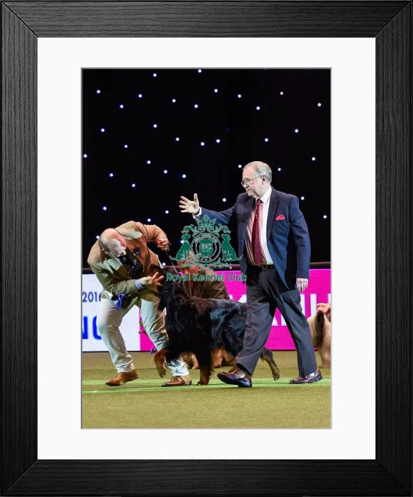 Framed Print : Crufts 2016 Framed Print : Crufts 2016