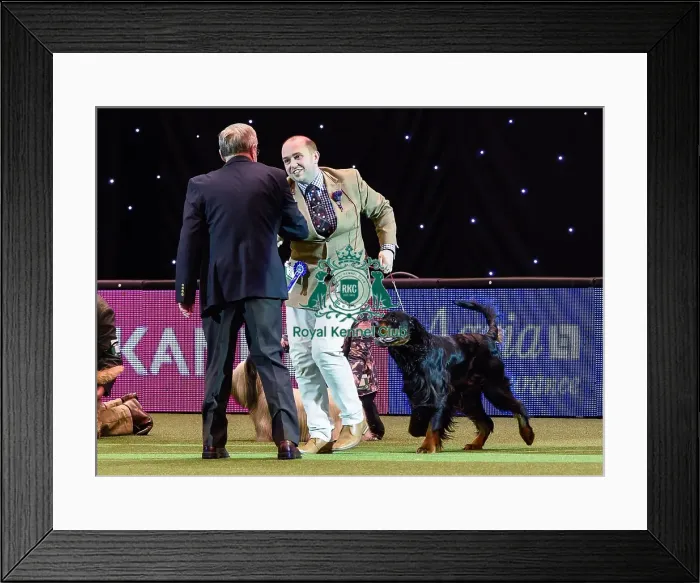 Framed Print : Crufts 2016 Framed Print : Crufts 2016