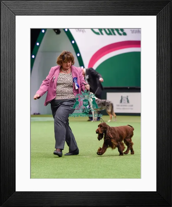 Framed Print : Crufts 2016 Framed Print : Crufts 2016