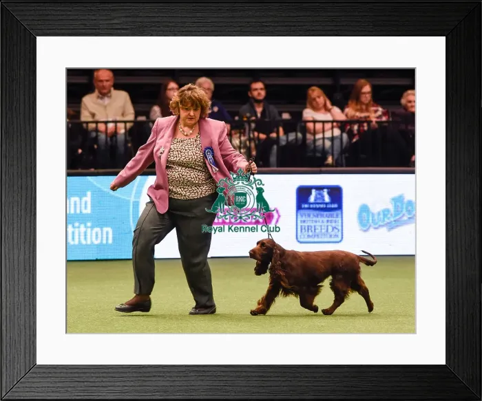 Framed Print : Crufts 2016 Framed Print : Crufts 2016