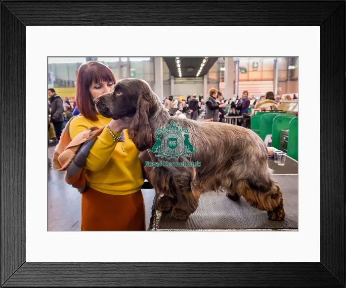 Framed Print : Crufts 2016 Framed Print : Crufts 2016