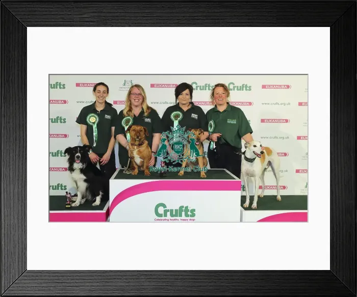 Framed Print : Crufts 2016 Framed Print : Crufts 2016