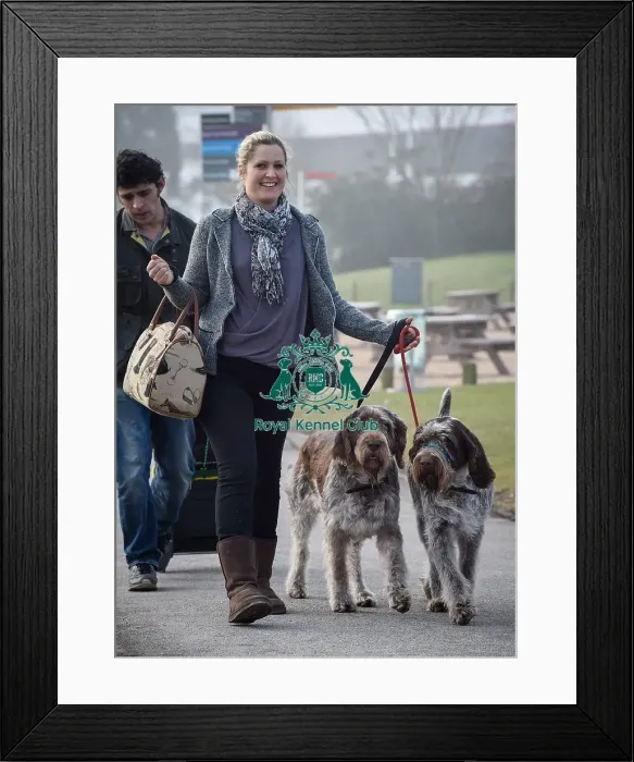 Framed Print : Crufts 2016 Framed Print : Crufts 2016