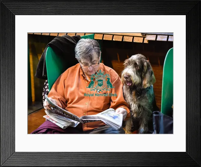 Framed Print : Crufts 2016 Framed Print : Crufts 2016