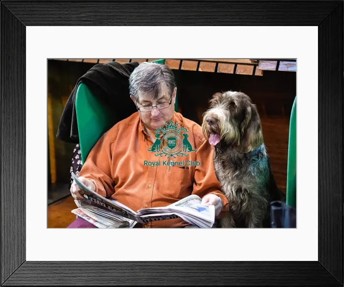 Framed Print : Crufts 2016 Framed Print : Crufts 2016