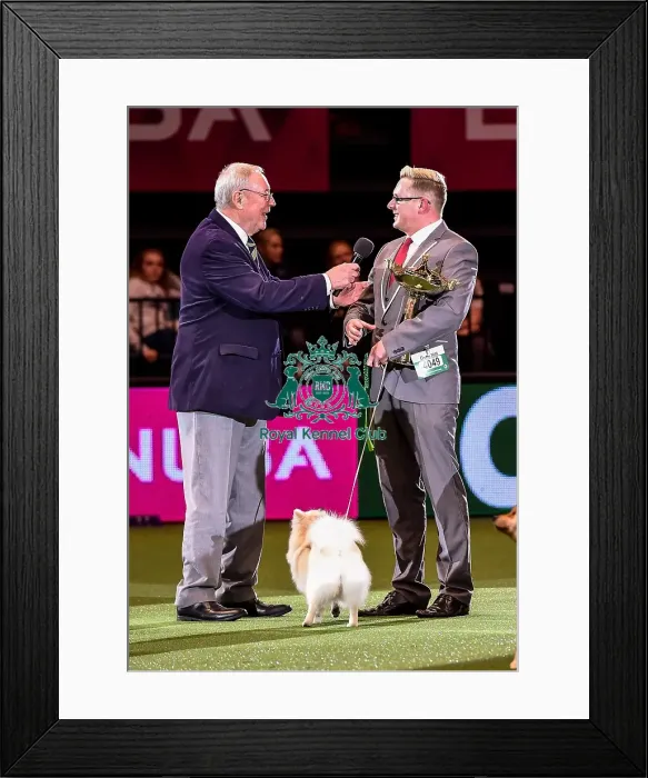 Framed Print : Crufts 2016 Best of Breed Framed Print : Crufts 2016 Best of Breed