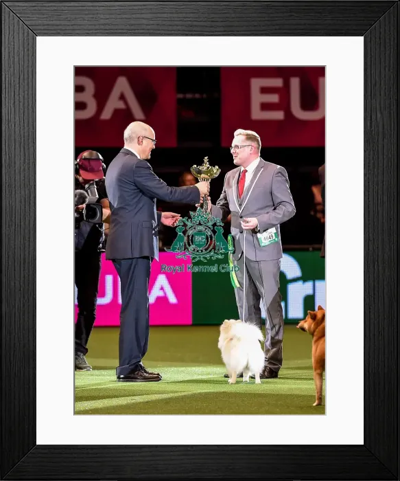 Framed Print : Crufts 2016 Best of Breed Framed Print : Crufts 2016 Best of Breed