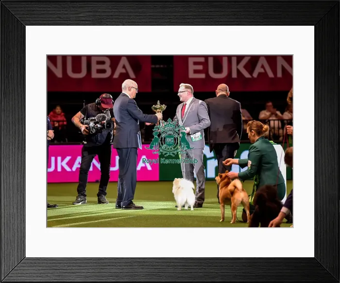 Framed Print : Crufts 2016 Best of Breed Framed Print : Crufts 2016 Best of Breed