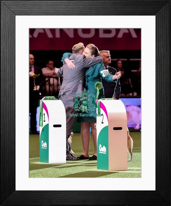 Framed Print : Crufts 2016 Best of Breed Framed Print : Crufts 2016 Best of Breed