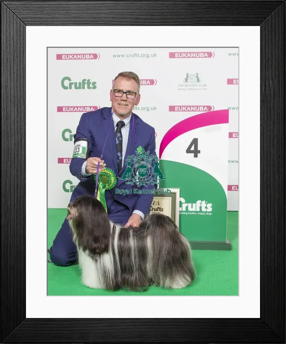 Framed Print : Crufts 2016 Best of Breed Framed Print : Crufts 2016 Best of Breed