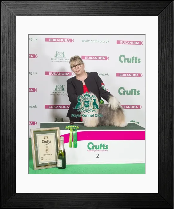 Framed Print : Crufts 2016 Best of Breed Framed Print : Crufts 2016 Best of Breed