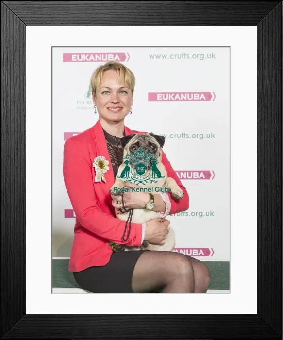 Framed Print : Crufts 2016 Best of Breed Framed Print : Crufts 2016 Best of Breed