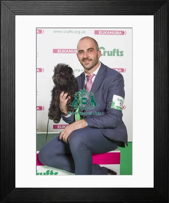 Framed Print : Crufts 2016 Best of Breed Framed Print : Crufts 2016 Best of Breed