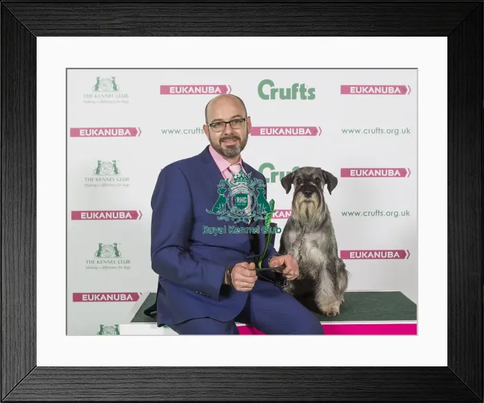 Framed Print : Crufts 2016 Best of Breed Framed Print : Crufts 2016 Best of Breed