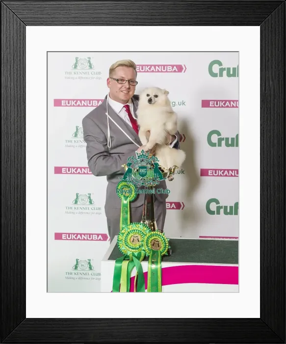 Framed Print : Crufts 2016 Best of Breed Framed Print : Crufts 2016 Best of Breed