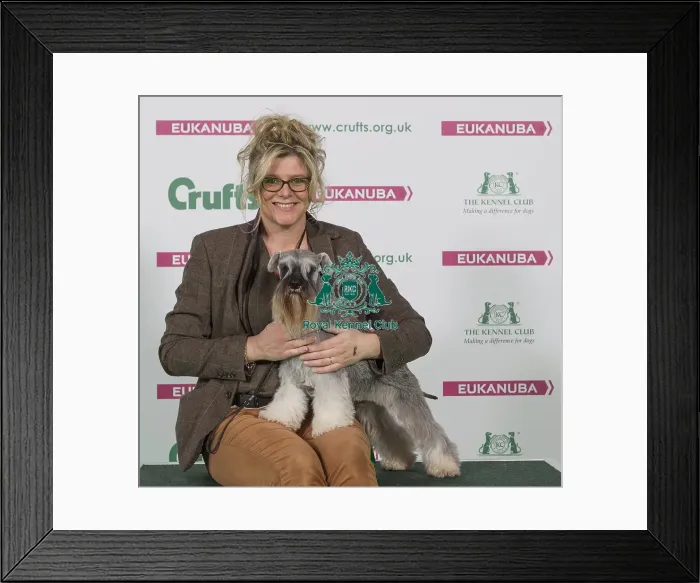 Framed Print : Crufts 2016 Best of Breed Framed Print : Crufts 2016 Best of Breed