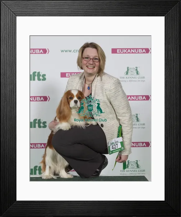 Framed Print : Crufts 2016 Best of Breed