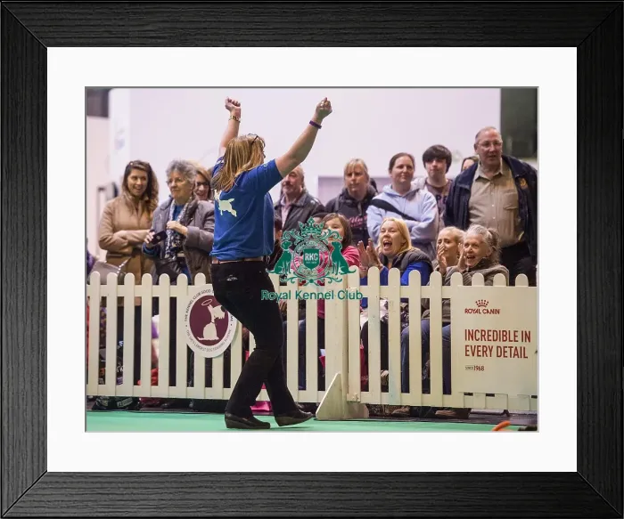 Framed Print : Crufts 2016 Framed Print : Crufts 2016