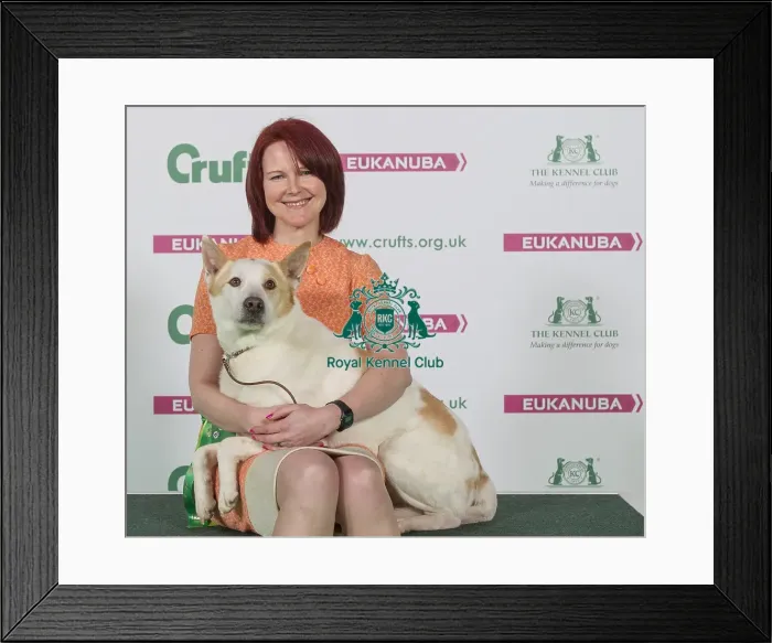Framed Print : Crufts 2016 Best of Breed Framed Print : Crufts 2016 Best of Breed
