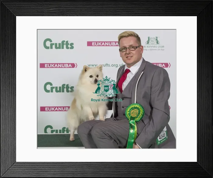 Framed Print : Crufts 2016 Best of Breed