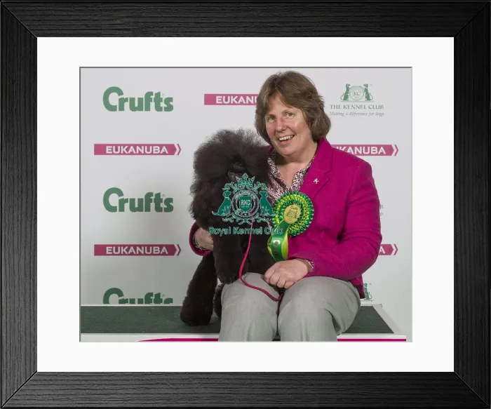 Framed Print : Crufts 2016 Best of Breed