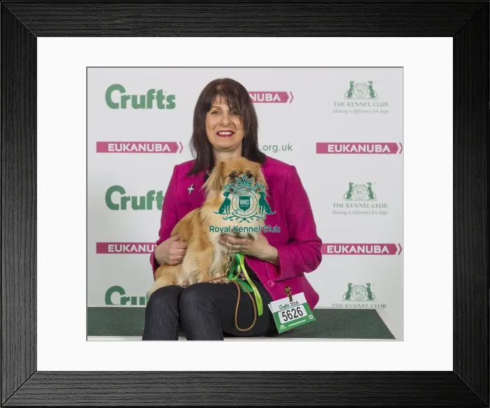 Framed Print : Crufts 2016 Best of Breed Framed Print : Crufts 2016 Best of Breed