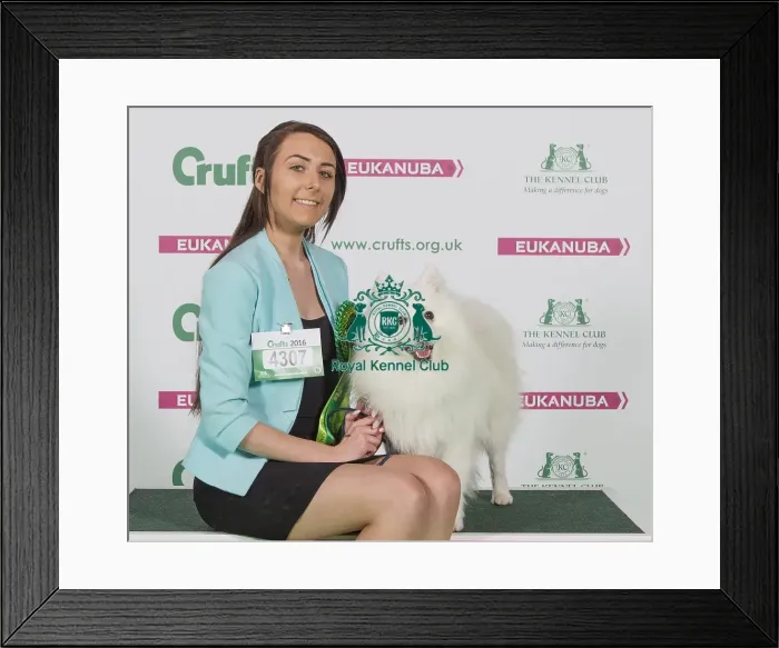 Framed Print : Crufts 2016 Best of Breed Framed Print : Crufts 2016 Best of Breed