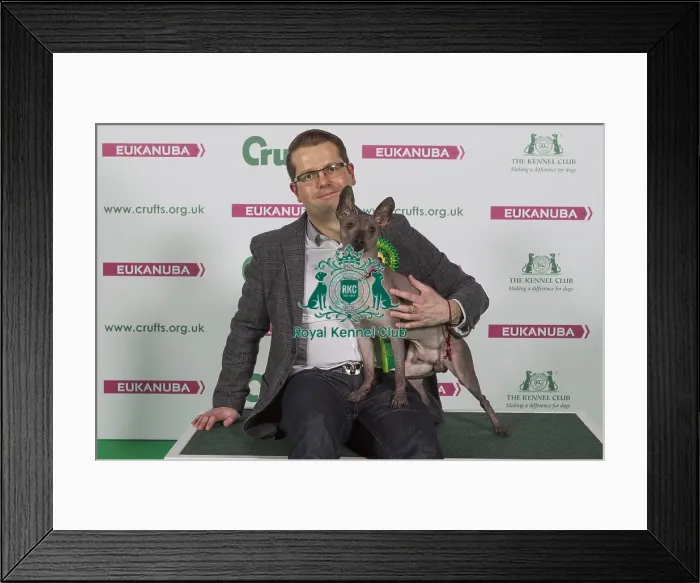 Framed Print : Crufts 2016 Best of Breed Framed Print : Crufts 2016 Best of Breed