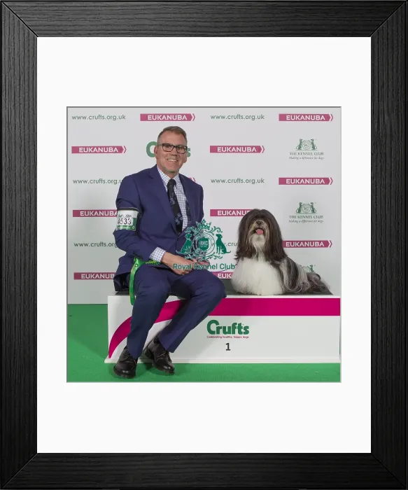 Framed Print : Crufts 2016 Best of Breed Framed Print : Crufts 2016 Best of Breed