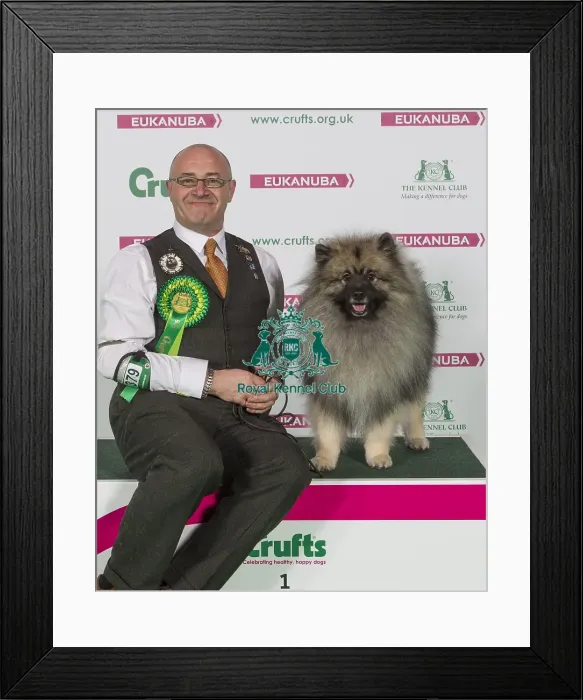 Framed Print : Crufts 2016 Best of Breed Framed Print : Crufts 2016 Best of Breed