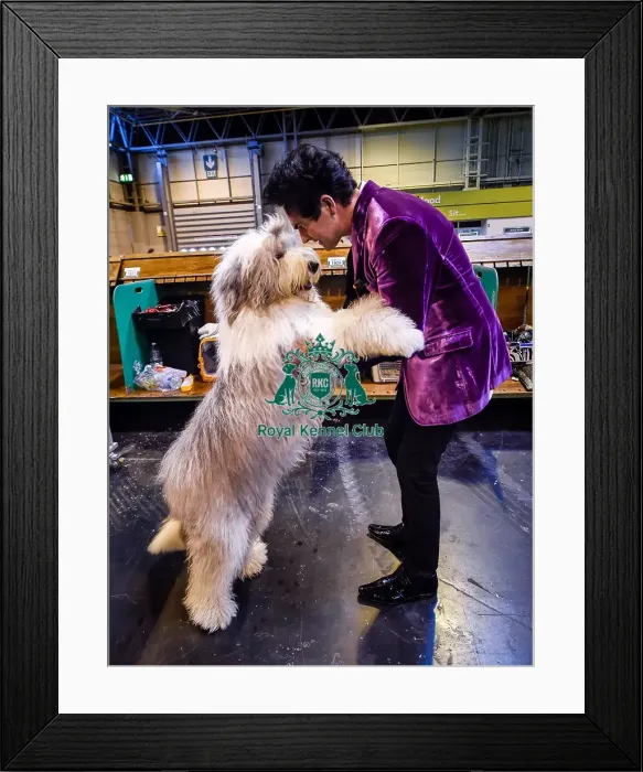 Framed Print : Crufts 2016 Framed Print : Crufts 2016
