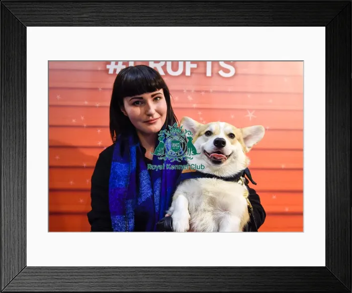 Framed Print : Crufts 2016 Framed Print : Crufts 2016