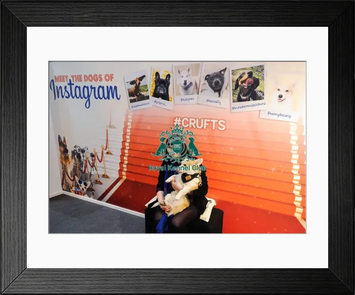 Framed Print : Crufts 2016 Framed Print : Crufts 2016