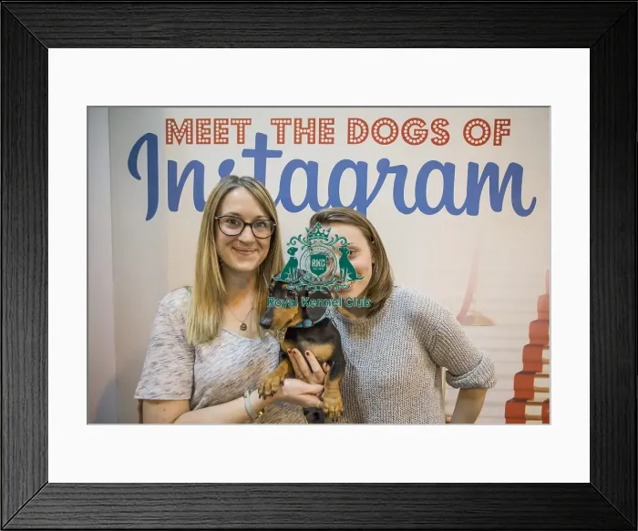 Framed Print : Crufts 2016 Framed Print : Crufts 2016