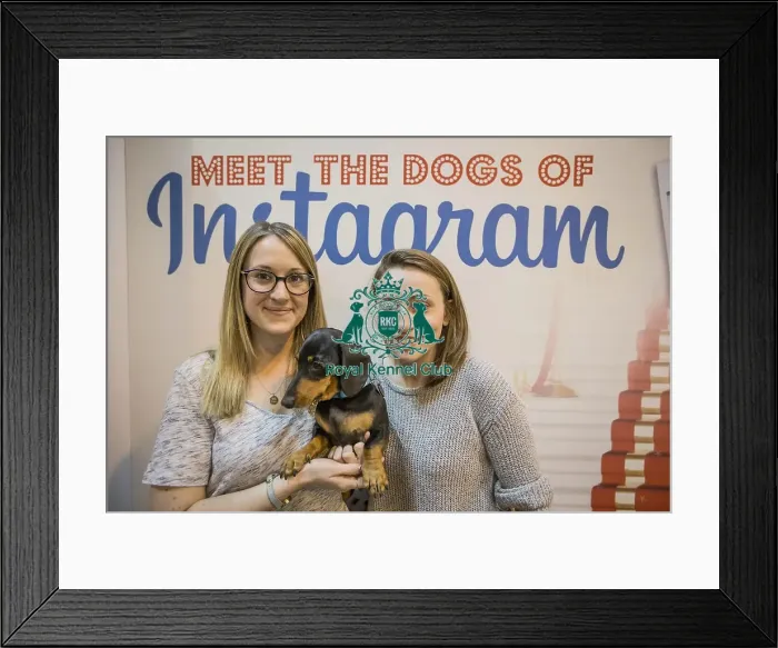 Framed Print : Crufts 2016 Framed Print : Crufts 2016