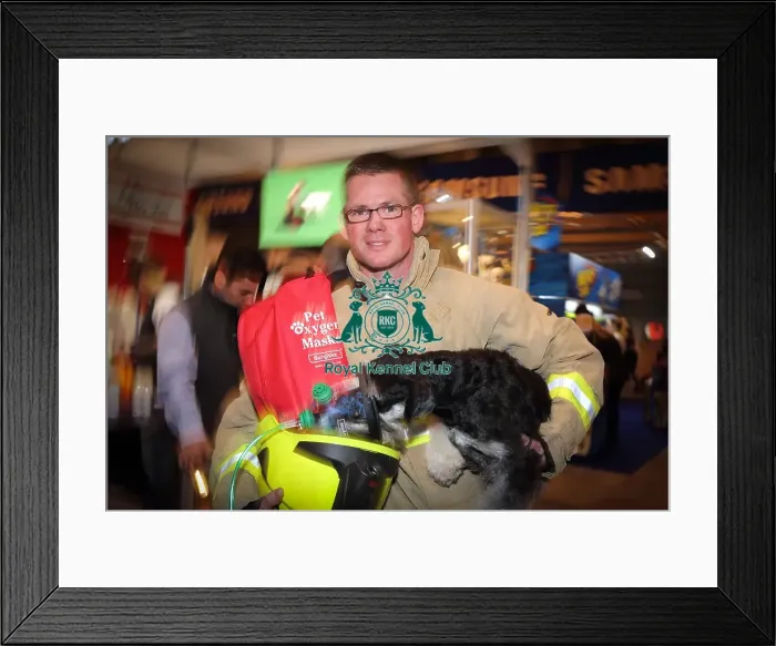 Framed Print : Crufts 2016 Framed Print : Crufts 2016