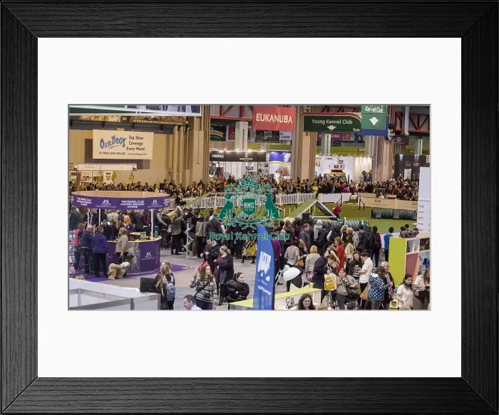 Framed Print : Crufts 2016 Framed Print : Crufts 2016
