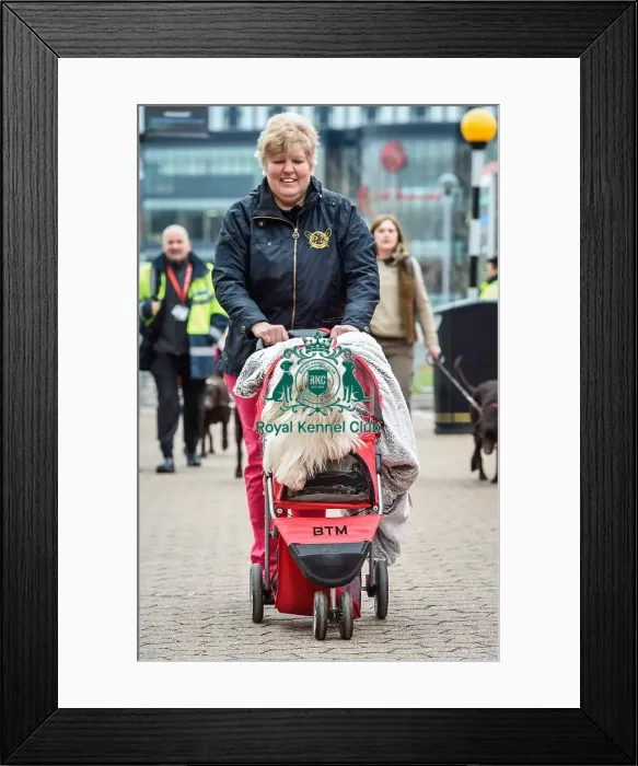 Framed Print : Crufts 2016 Framed Print : Crufts 2016
