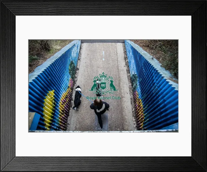 Framed Print : Crufts 2016 Framed Print : Crufts 2016