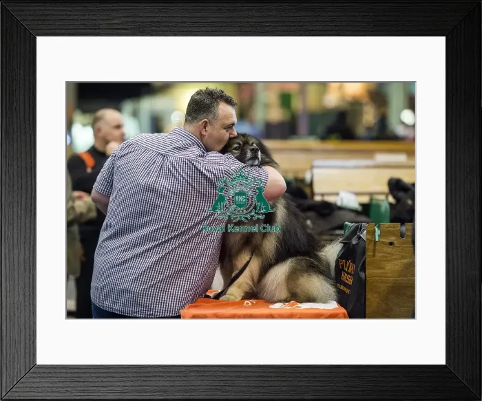 Framed Print : Crufts 2016 Framed Print : Crufts 2016