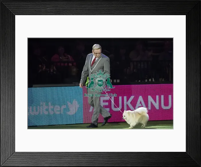 Framed Print : Best in Show, Crufts 2016 Framed Print : Best in Show, Crufts 2016